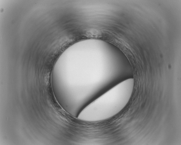 X0000088570652200705250710