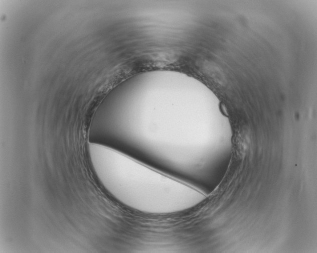 X0000088570657200705250710