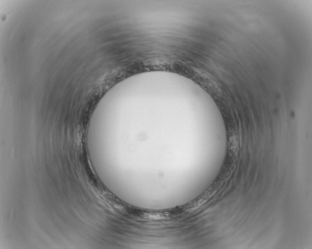 X0000088570662200705250710