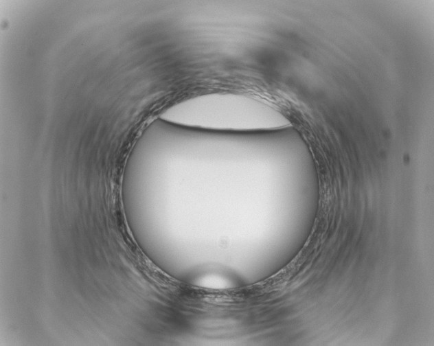 X0000088570749200705250708