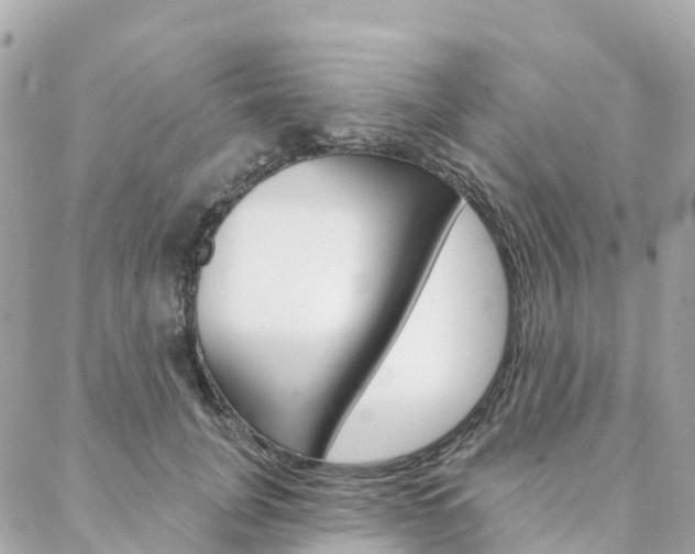 X0000088570751200705250708