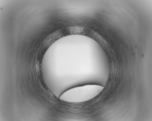 X0000088570761200705250708