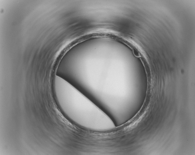 X0000088570783200705250708