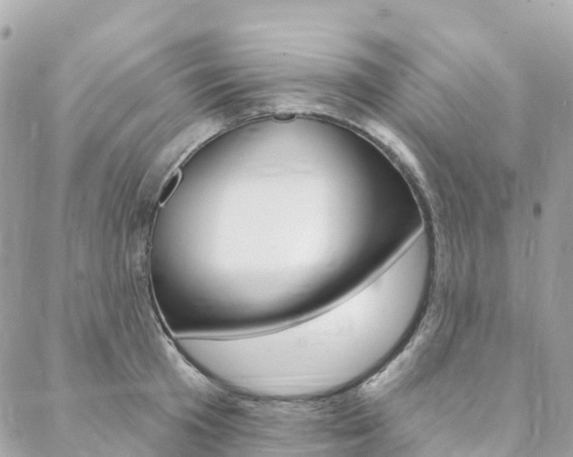 X0000088570801200705250707