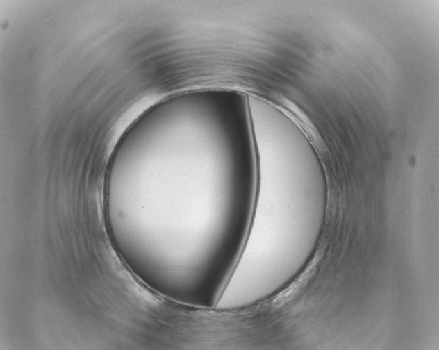 X0000088570812200705250707