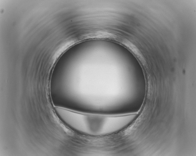 X0000088570850200705250707