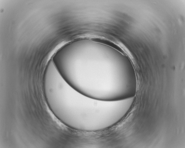 X0000088570909200705250706