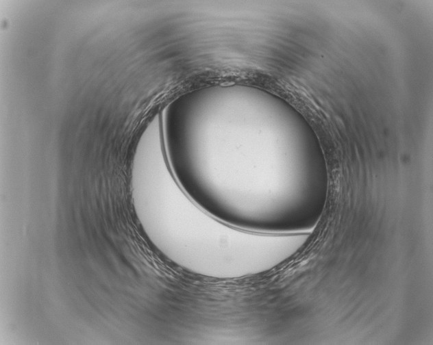 X0000088570916200705250705