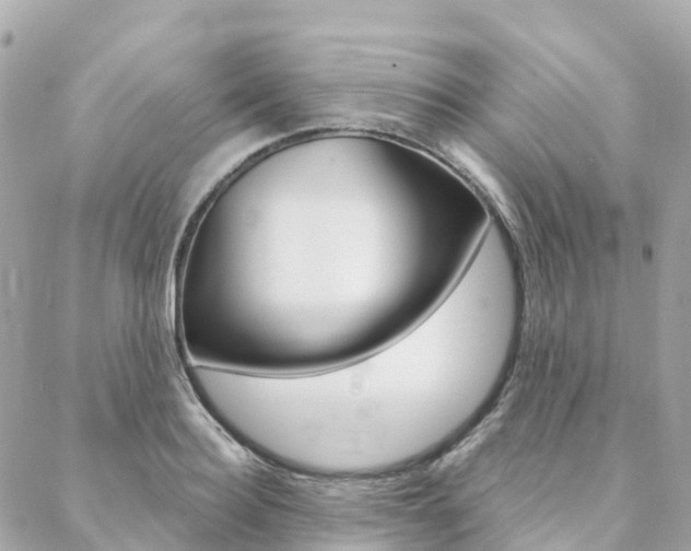 X0000088570940200705250705