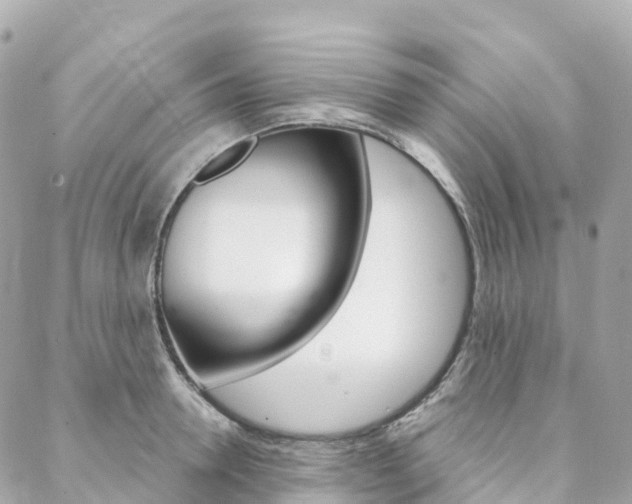 X0000088570946200705250705