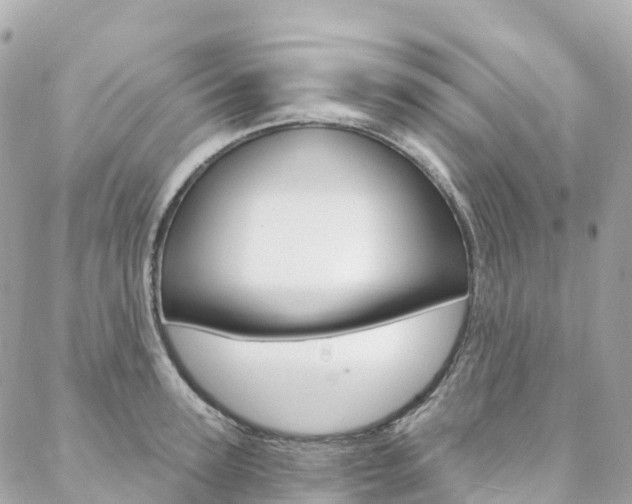 X0000088570947200705250705