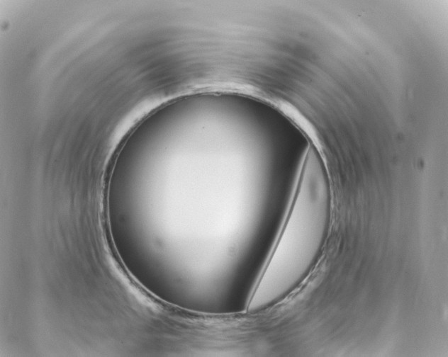 X0000088571005200705250704