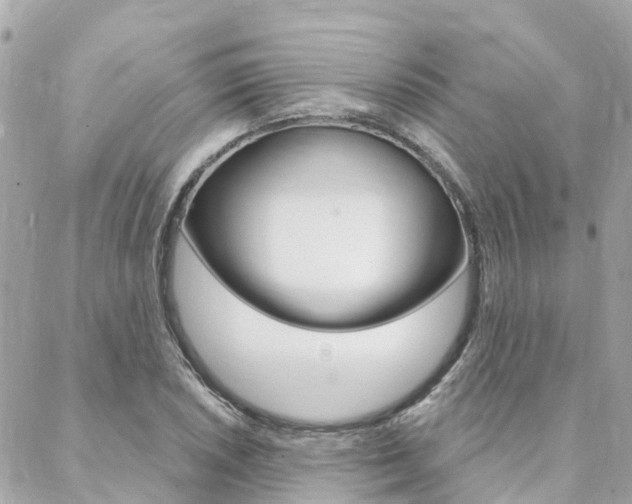 X0000088571026200705250703