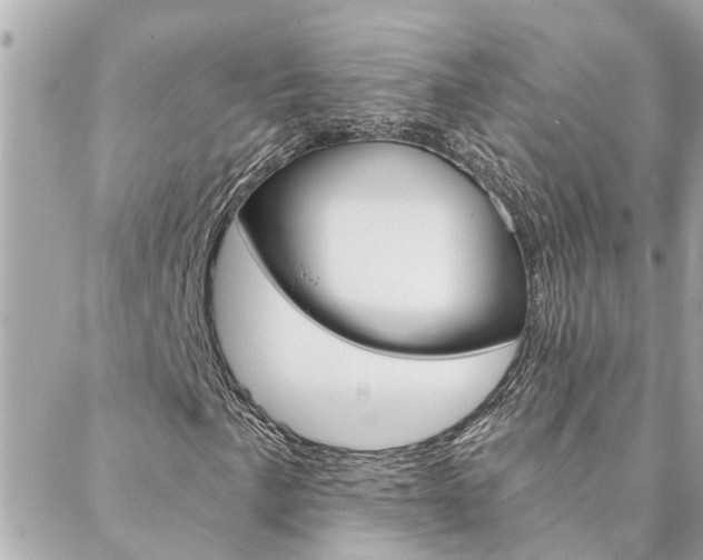 X0000088571057200705250703