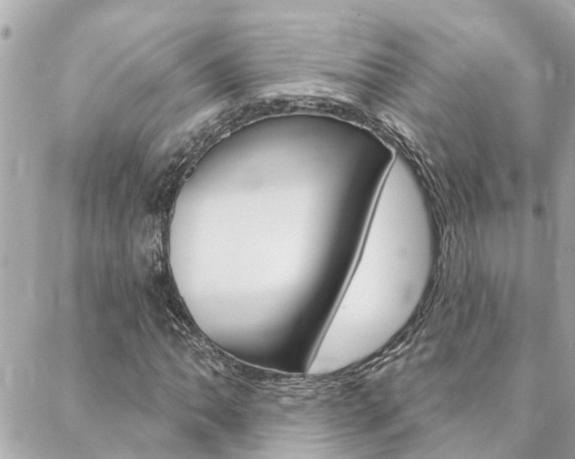 X0000088571062200705250703