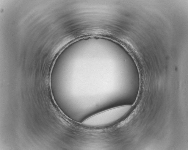 X0000088571073200705250703