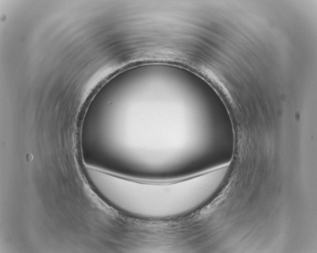 X0000088571085200705250703