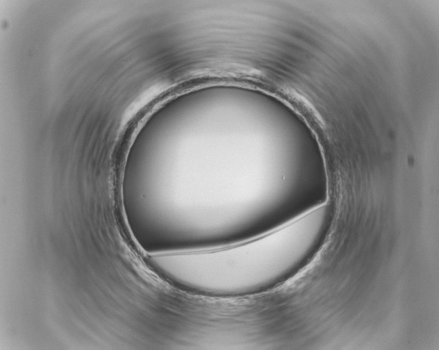 X0000088571114200705250702