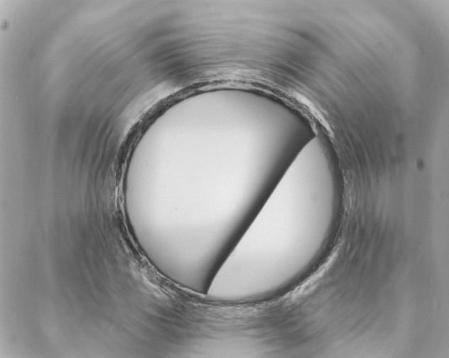 X0000088571117200705250702