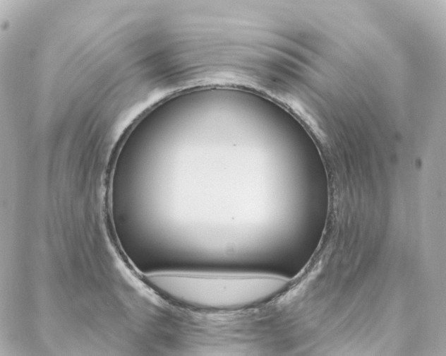 X0000088571134200705250702