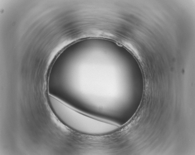 X0000088571136200705250702