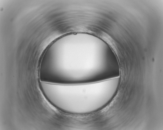 X0000088571141200705250702