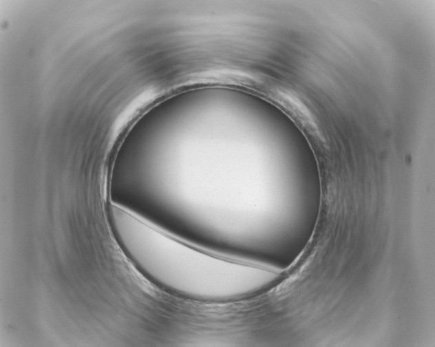 X0000088571180200705250701
