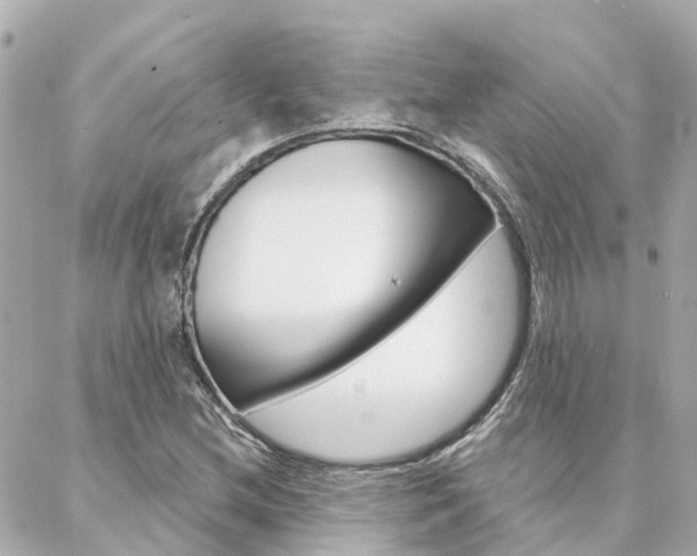 X0000088571212200705250700