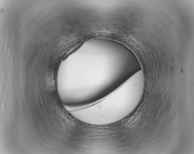 X0000088571252200705250700