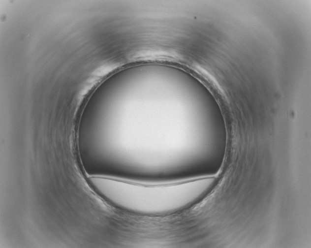X0000088571277200705250700