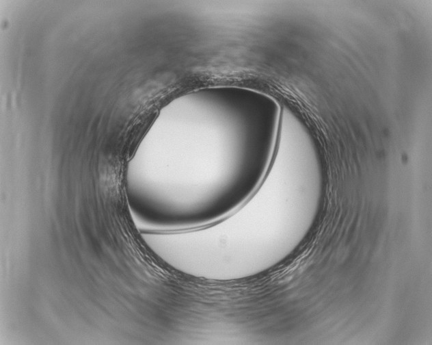 X0000088571300200705250659