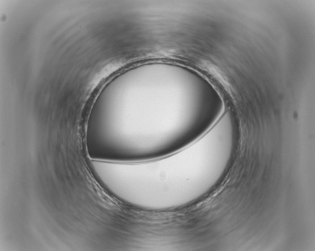 X0000088571308200705250659
