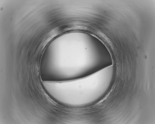 X0000088571321200705250659