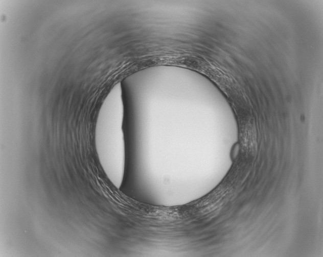 X0000088571346200705250658