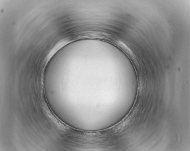 X0000088571378200705250658