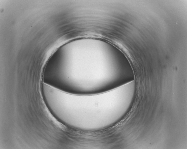 X0000088571379200705250658