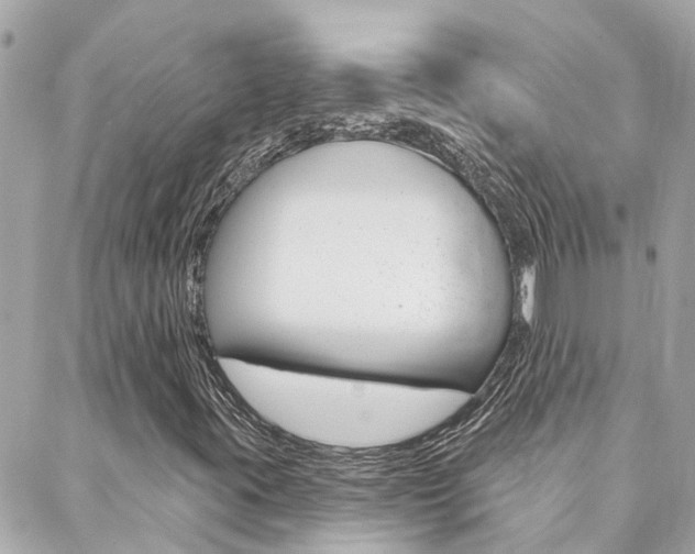 X0000088571395200705250657