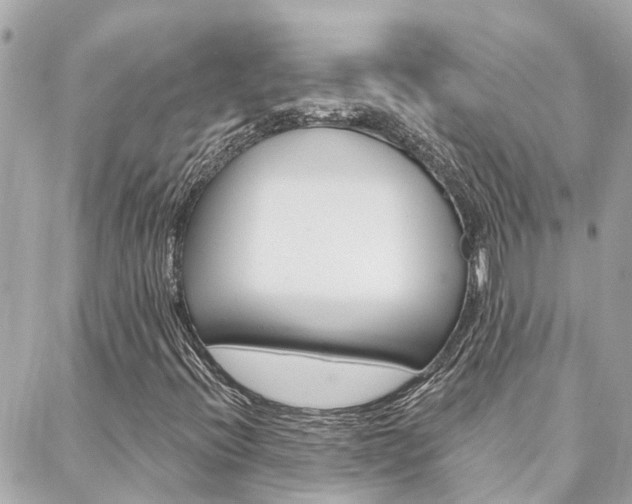 X0000088571396200705250657