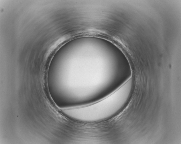 X0000088571410200705250657