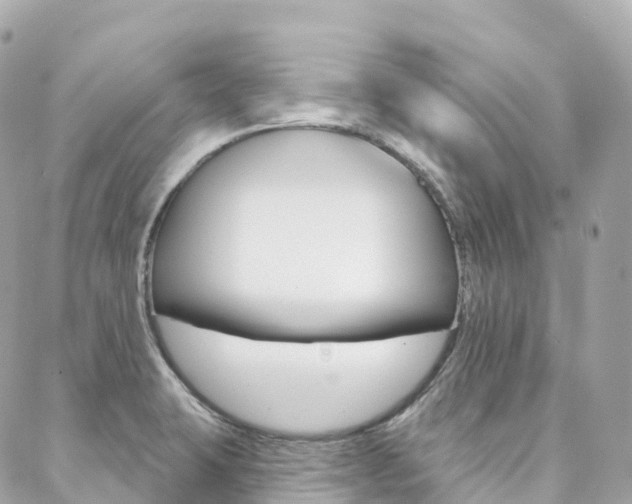 X0000088571423200705250657