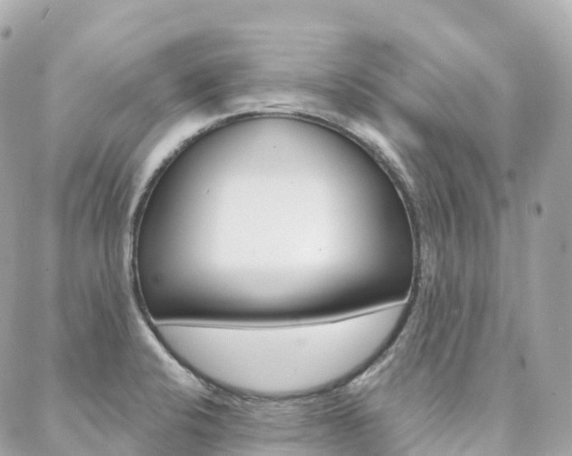 X0000088571424200705250657