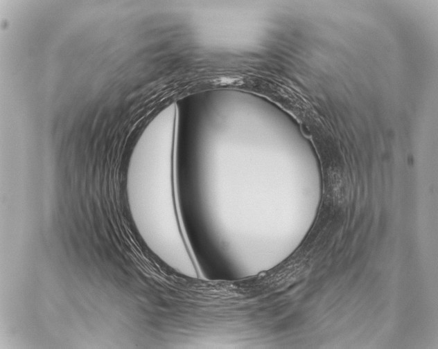 X0000088571442200705250657