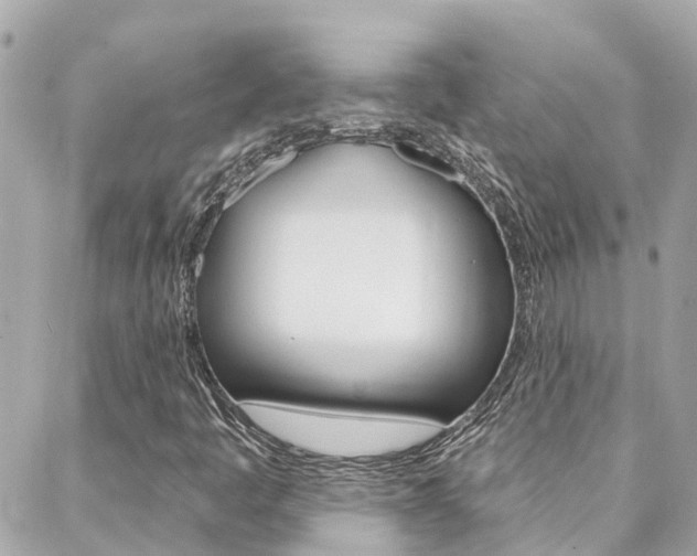 X0000088571445200705250657