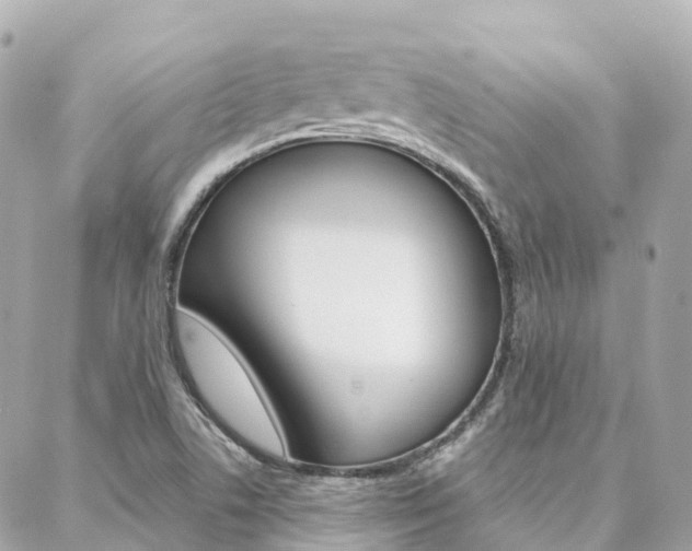X0000088571506200705250656