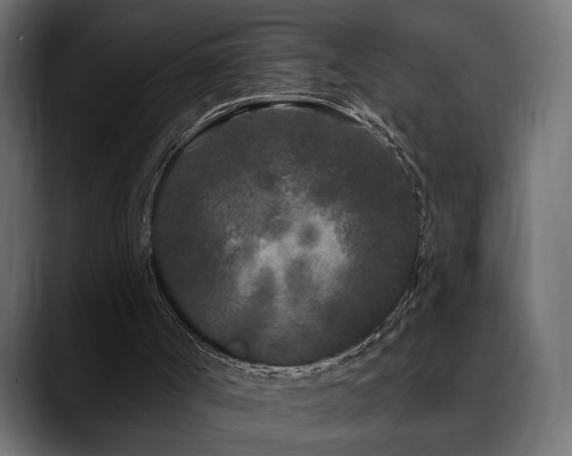 X0000088570002200705251127