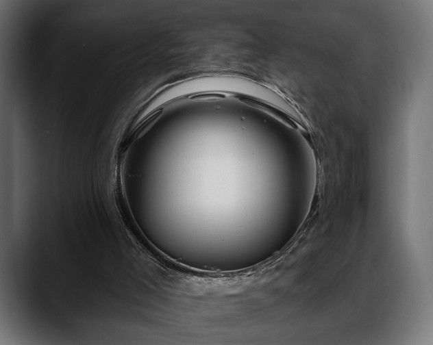 X0000088570005200705251127