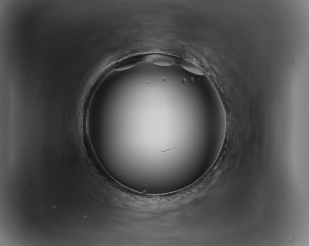 X0000088570006200705251127