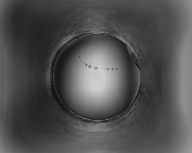 X0000088570008200705251127