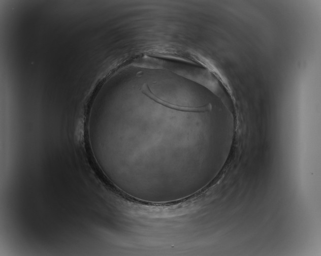 X0000088570010200705251127