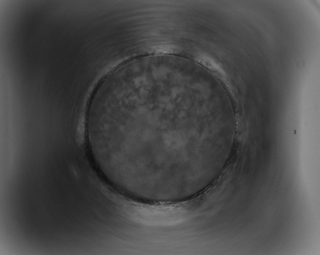 X0000088570012200705251127